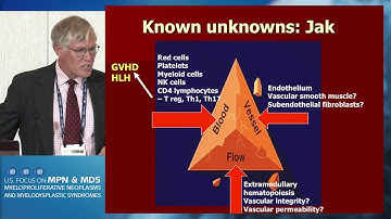 Splanchnic Vein Thrombosis and MPN: Diagnosis and Therapy