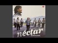Enganchado de Éxitos by Grupo Nectar 🎶