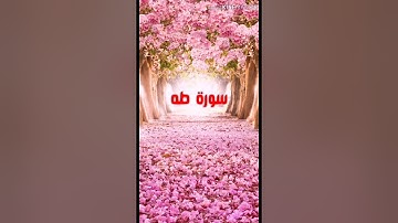 🌺سورة طه🌺 بصوت القارئ احمد سامي