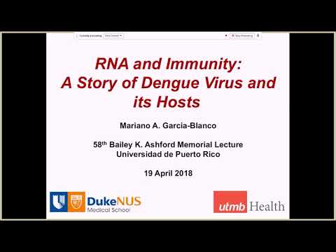 Video: Lagere IgG-somatische Hypermutatiesnelheid Tijdens Acute Dengue-virusinfectie Is Compatibel Met Een Germinale Centrum-onafhankelijke B-celrespons