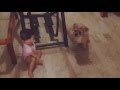 11 Months Old Baby | Baby and Dog