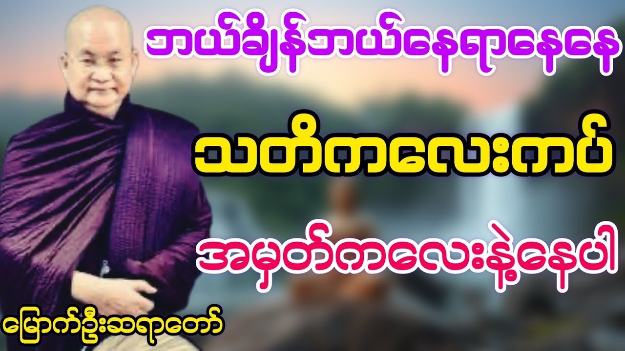 ဘယ်ချိန်ဘယ်နေရာနေနေသတိကလေးကပ် အမှတ်ကလေးနဲ့နေပါ#မြောက်ဦးဆရာတော်@DhammaSanyay 