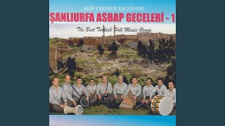 Delalım - Akif Çekirge