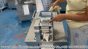 Dumpling and Samosa Making Machine Test Before Delivery to Brazil Customer | VERFOODSOLUTIONS