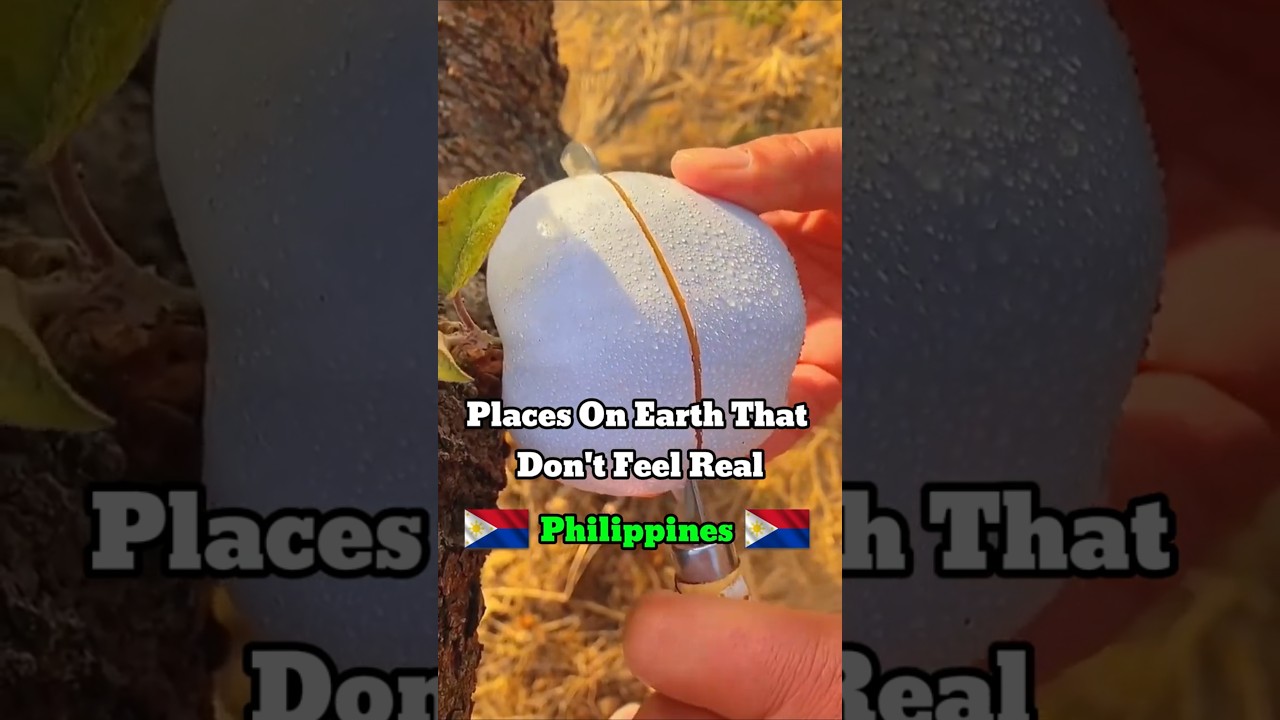 Is Philippines Hiding REAL LIFE Fantasy Worlds? 