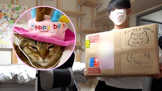 視聴者さんから茶々さんと僕宛に大量の誕生日プレゼントを頂きましたwww