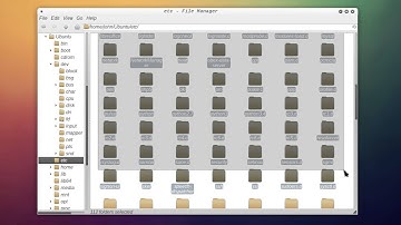 Иерархия файловой системы в linux.