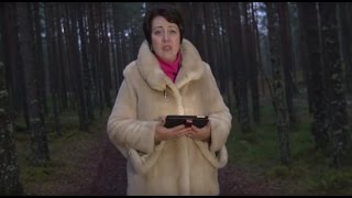 112. Хлеб на каждый день. Уроки почтения. 112. Хлеб на каждый день. Уроки почтения.