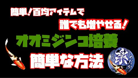 تحميل マリモ メダカ Mp4 Mp3