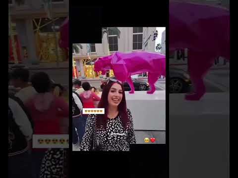 شاهد ماذا فعل شاب اجنبي مع فتاة عربية فتاة حب حالات واتس ترند أوروبا عربي شاهد امرأة