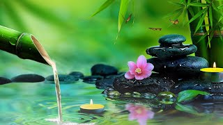 Bamboo Relaxing Zen Music, Stress Relief Music, Sleep Music, Meditation Music, Study, Nature Sounds