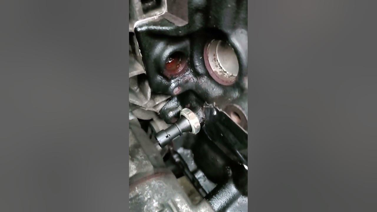 Vauxhall insignia 1.8 sri Oil pressure switch sensor, oil leak common