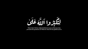 (لن ينال اللّه لحومها)| سورة الحج | عبدالله الموسى #krumat #كرومات #شاشه_سوداء #quran