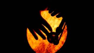 Mezdeke - Darbuka Show ☆彡