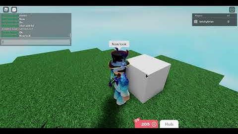 How to do !stat weight In roblox Blockate