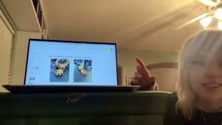 Final Project Presentation