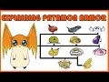 Explaining Digimon: PATAMON ARMOR DIGIVOLUTION LINE [Digimon Conversation #24]