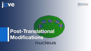 Detection: Post-Translational Modifications On Native Intact Nucleosomes By ELISA l Protocol Preview