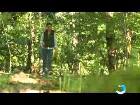 სოფელი ალამბარი--ქობულეთის რაიონი.