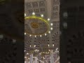 Umrah Train from Jeddah to Medinah #youtube #youtubeshorts