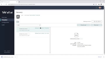 Afi SaaS Backup for Google Workspace - Shared Drives