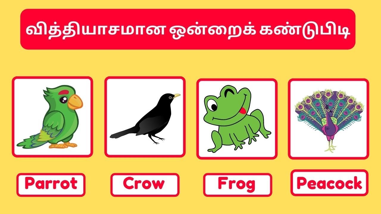Odd one out for kids in tamil Tamil puzzles Tamil riddles with