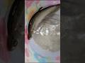 এতো বড় ফলি মাছ চিতল মাছের মতো #fish