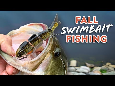 Fishing An ULTRA Realistic Swimbait for Big Bass in the Fall 