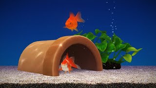 Relaxing Gold Fish 🐠, Relaxing Aquarium ,Relaxing Sound of Water 💦 & Bubbles screenshot 5