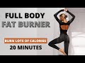 20 MIN. FULL BODY FAT BURNER - burn lots of calories | NEW YEARS WORKOUT | Mary Braun