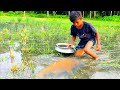 amazing hand fishing videos  - Smart boy catching carp fish by hand from mud water part - 36