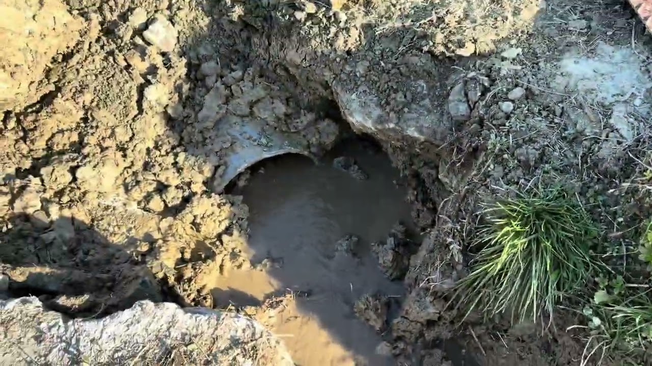 Clean the ditch  溝の掃除