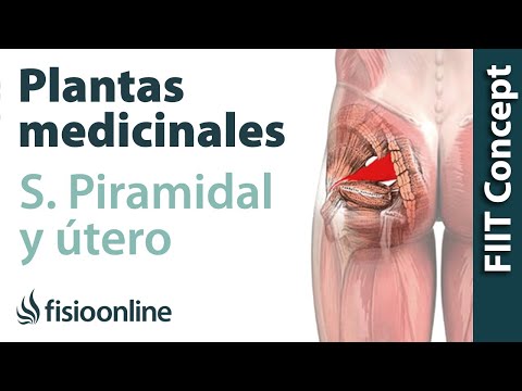 Vídeo: Inflamación Ovárica: Tratamiento De La Inflamación Ovárica Con Remedios Y Métodos Caseros