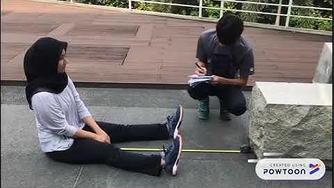 Assignment PE - sit and reach