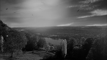 MYSQFLX - Saturation / Ambient wave made with Digitone, Octatrack, AnalogRytm, Super6, Pro1 and OB-6