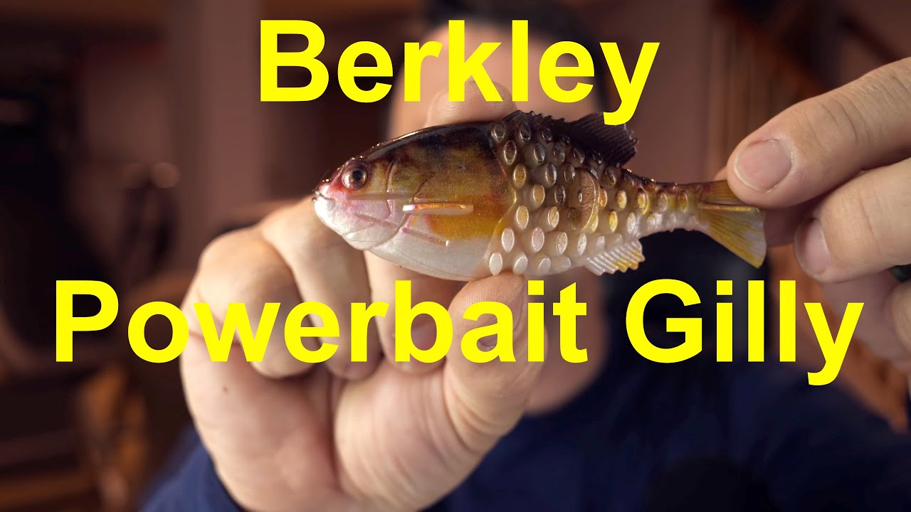 Berkley Powerbait Gilly - First Impressions - First catch 