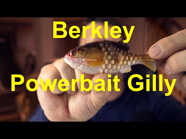 Berkley Powerbait Gilly - First Impressions - First catch 