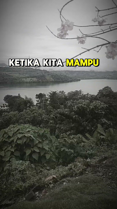 Kesabaran dan Kerja Keras, Kunci Sukses yang Tak Terbantahkan #motivasi hidup