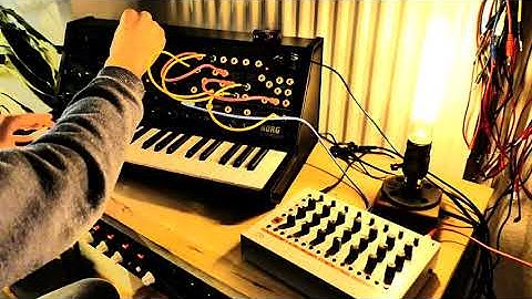 Korg MS20 Mini & MFB Tanzbär Lite