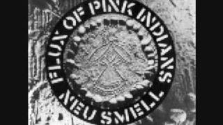 Video thumbnail of "Flux of Pink Indians - Tube Disasters (Good quality)"