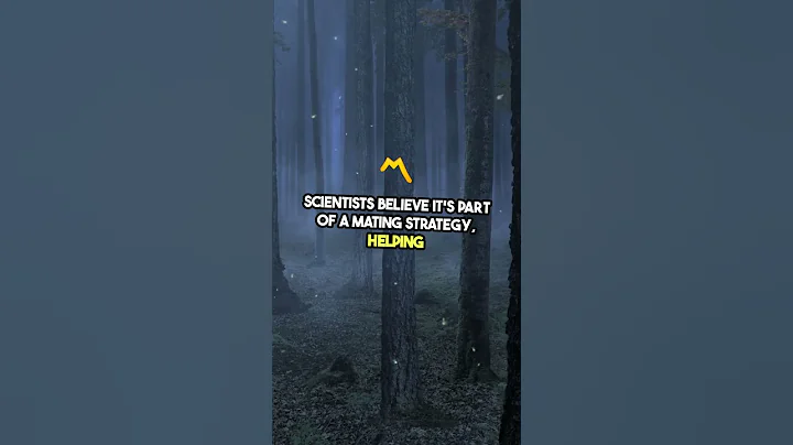 Nature's Dazzling Light Show  Synchronous Fireflies