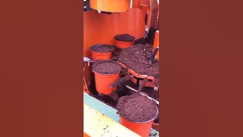 Automated pot filler at NASC