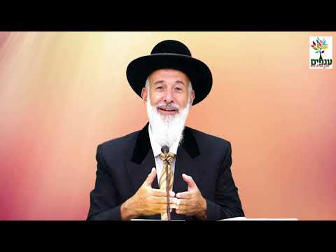 פרשת תולדות - הרב יונה מצגר HD - חזק ביותר!