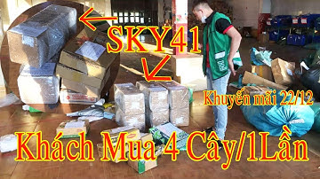 Béc Tưới SKY41 Khách Mua 4 Cây 1 Lân Thiết Bị Tưới Gia Nông