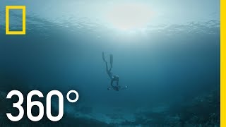 Indonesia's Coral Reefs - 360 | Into Water