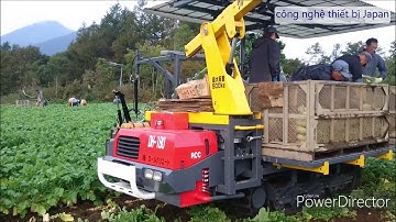 Máy thu hoạch củ cải của Nhật