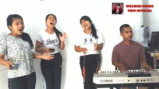 Trio Cewek Nias Cantik || SIMANIS TRIO bersuara merdu, BIKIN BAPER PEMAIN MUSIKNYA
