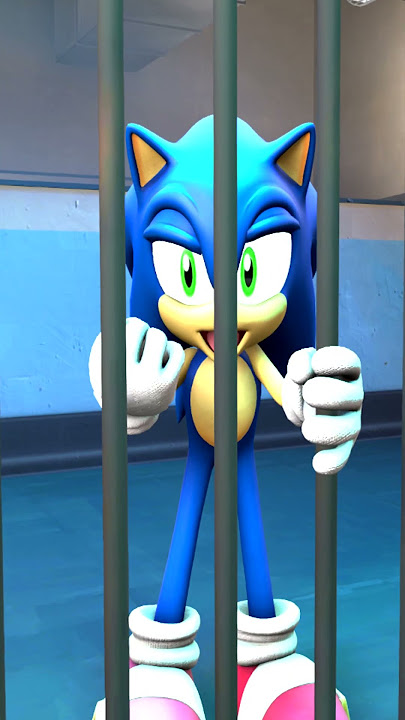 THE DOOR IS UNLOCKED - SONIC
