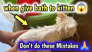 Bathing Your Kitten: Tips & Tricks for Cat Owners || how to bathe a kitten or cat