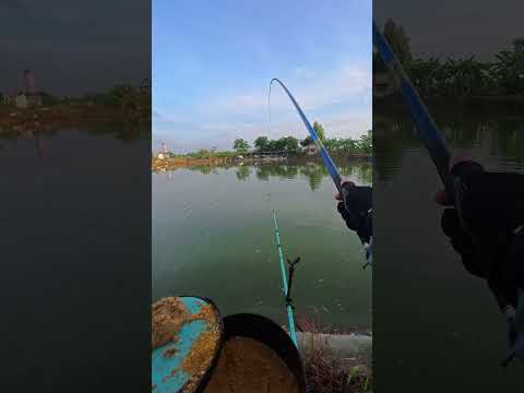Hồ bán tự nhiên mới mở - Lạng Giang